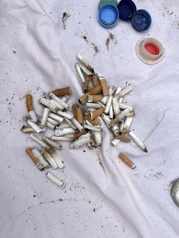 HERKES GÖNÜLLÜ OLABİLİR