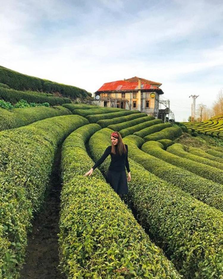 VERİM DÜŞÜKLÜĞÜ, YANLIŞ GÜBRELEME