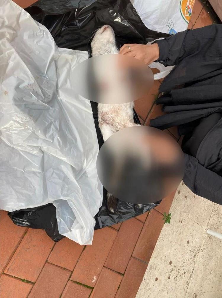 POLİSE ŞİKAYETTE BULUNDUK