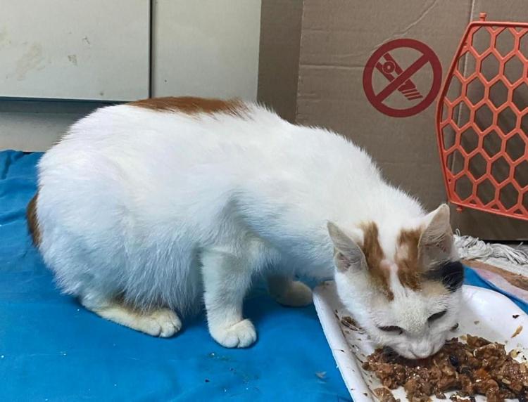 CEZALANDIRILMALARINI İSTİYORUZ