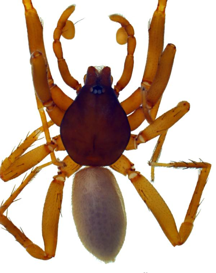 ANTALYA EŞSİZ BİR DOĞAYA SAHİP