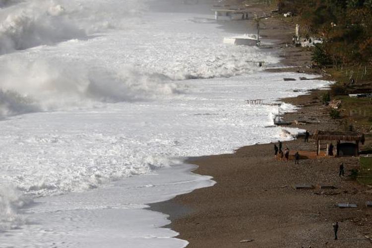 PLAKALAR AĞACA ASILDI