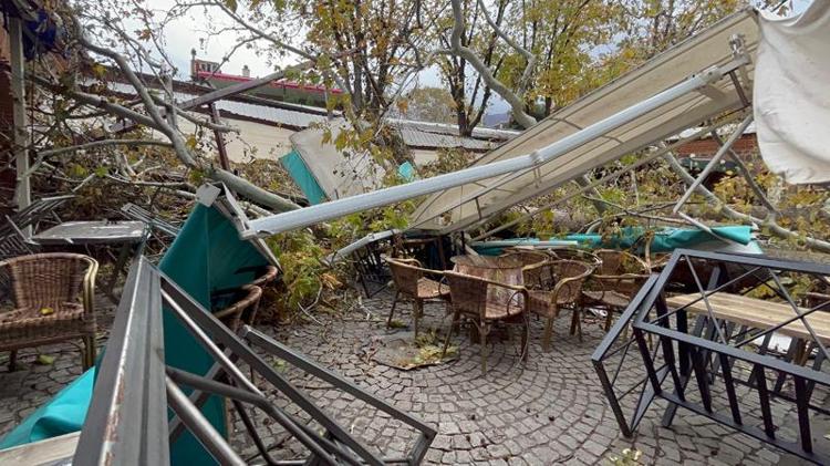 250 YILLIK ANIT ÇINAR KALDIRILDI