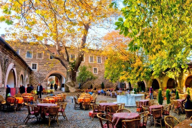 AĞACI KALDIRMA ÇALIŞMALARI SÜRÜYOR