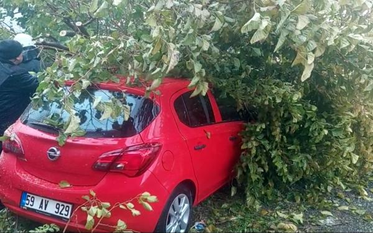 AĞAÇ, 3 OTOMOBİLİN ÜZERİNE DEVRİLDİ