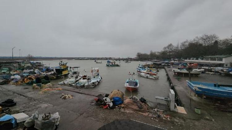 ANA MENDİREK 350 BARINAKTA VAR