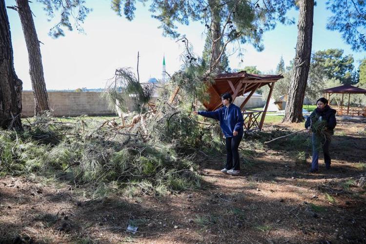 AĞAÇLAR KESİLECEK