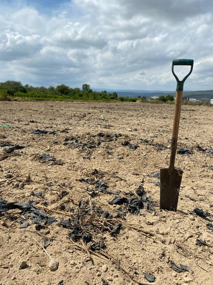 ÇÖZÜM NAYLON YERİNE YENİ BİR MATERYAL GELİŞTİRMEK