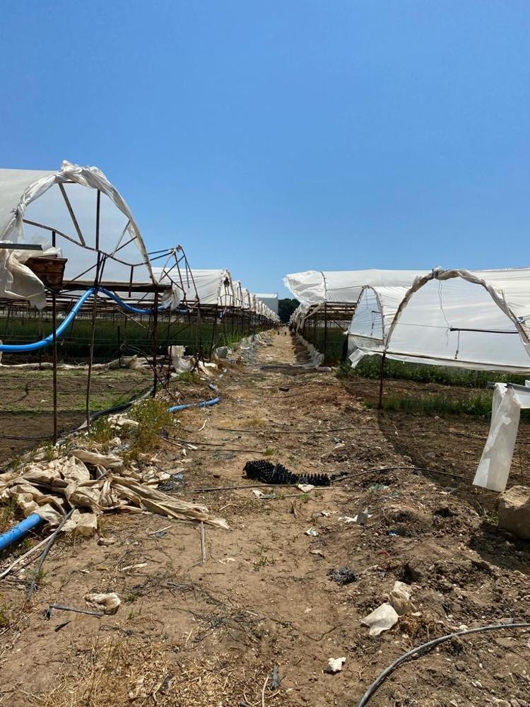 TOPRAKTAKİ YAŞAMA ZARAR VERİYORLAR