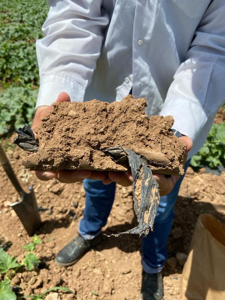 EN FAZLA AKDENİZDE TESPİT ETTİK