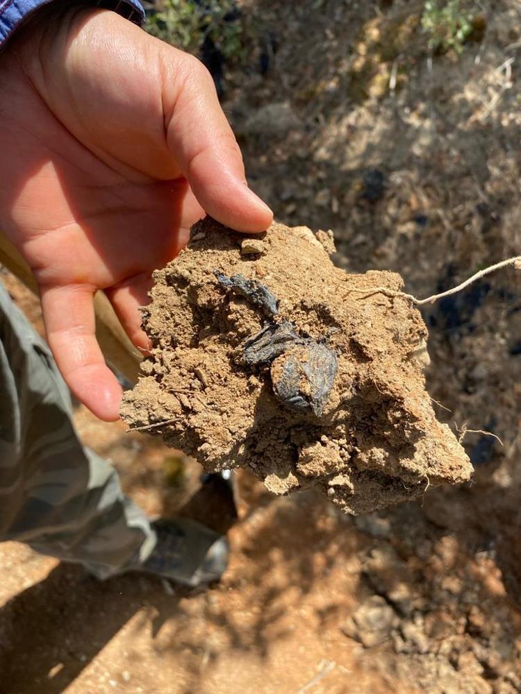 ‘TOPRAKTAN SOFRAYA UZANABİLECEK RİSK’