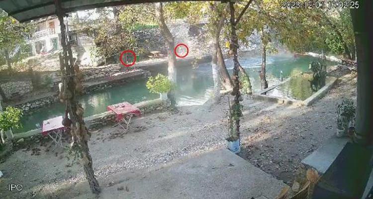 SAVCILIK SORUŞTURMA BAŞLATTI