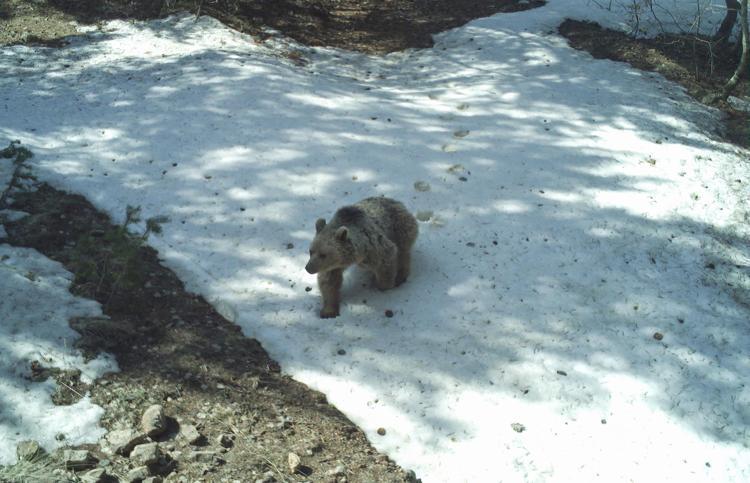 VATANDAŞLARIN DA DİKKAT ETMESİ GEREKEN KURALLAR VAR