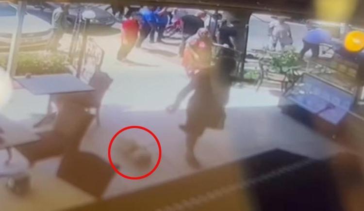 KÖPEĞİM YASAKLI IRKLARDAN OLMADIĞI İÇİN AĞIZLIĞI YOKTU
