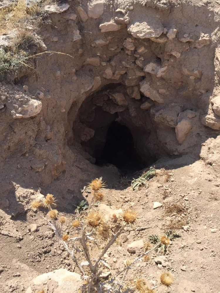 MAALESEF ŞİMDİYE KADAR SİSTEMLİ BİR ŞEKİLDE KAZILMADI