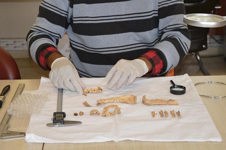 ‘PLANLI BİR ŞEKİLDE GÖMÜLDÜĞÜNÜ GÖSTERİYOR’