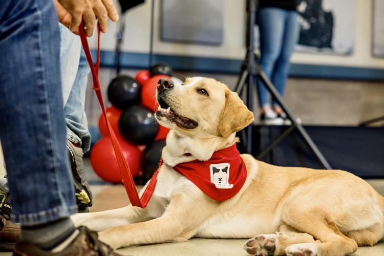 BÜYÜK BAĞIŞ İÇİN GERVAİS’E TEŞEKKÜR MESAJLARI