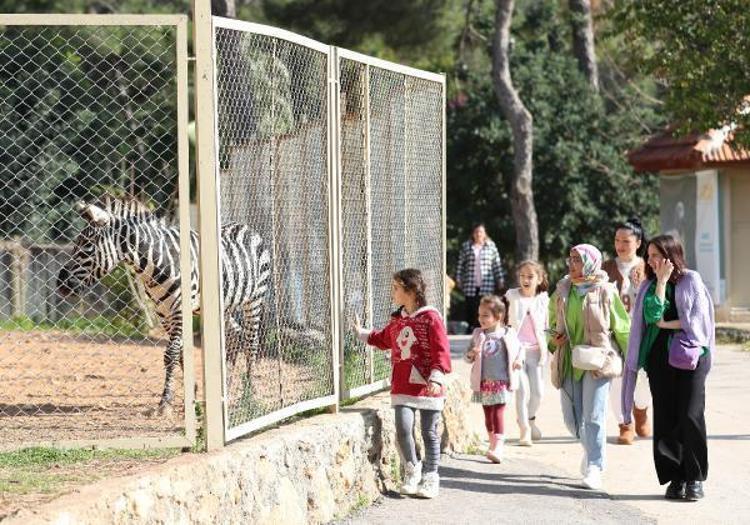 127 TÜRDEN 1400 CANLI