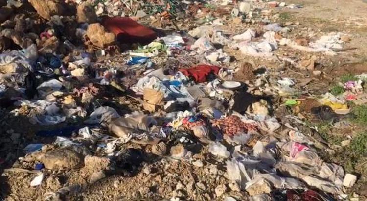 10 YIL ÖNCE 20 KİLO BALIK TUTULURDU