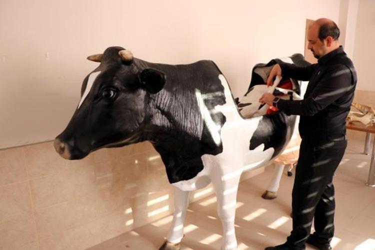 ‘BİN 500 ÇOCUK İNEK SAĞMAYI ÖĞRENDİ’