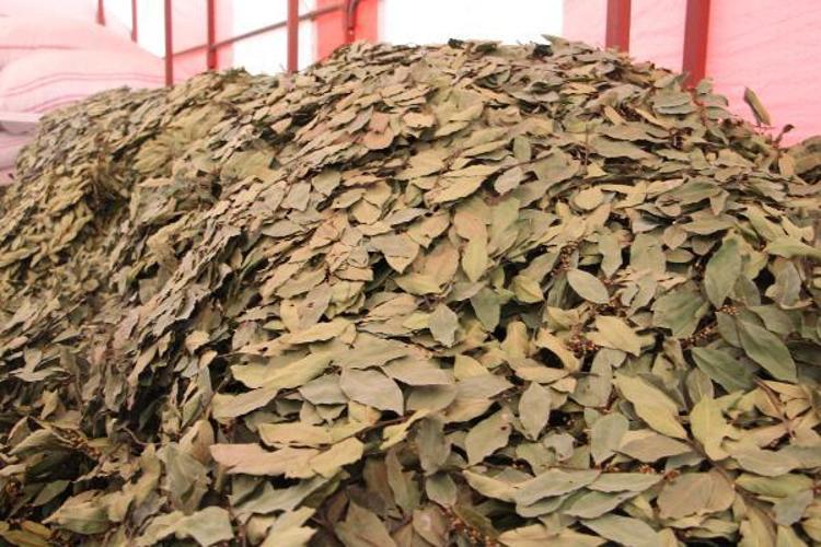 DÜNYA İHTİYACININ YÜZDE 90I TÜRKİYEDEN