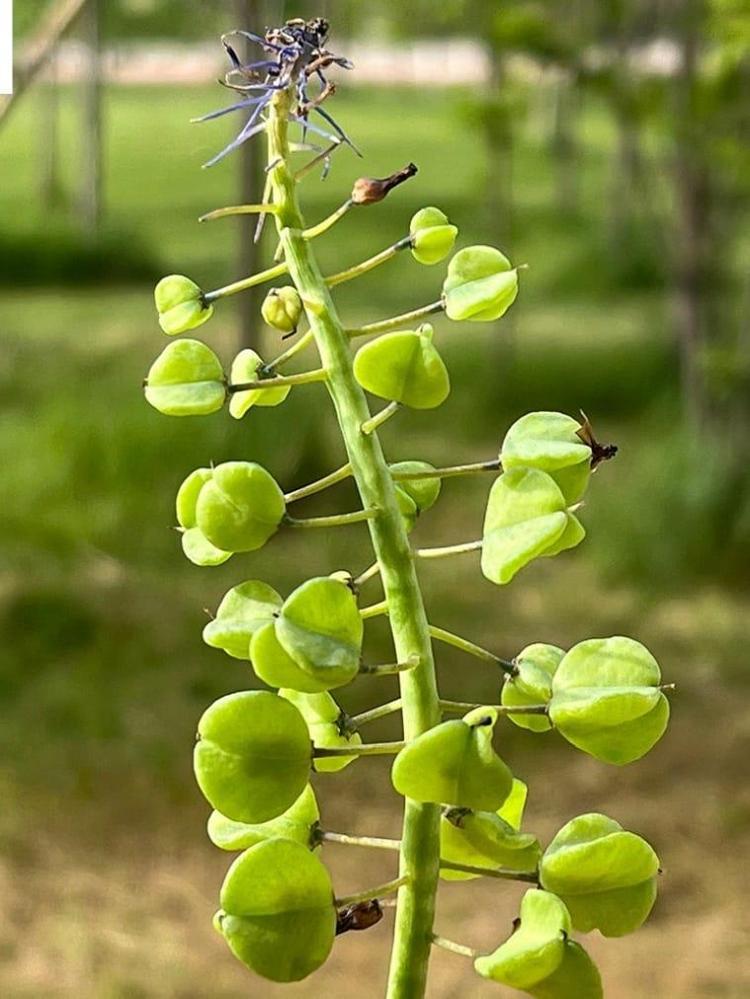 BİZİ ONURLANDIRDILAR