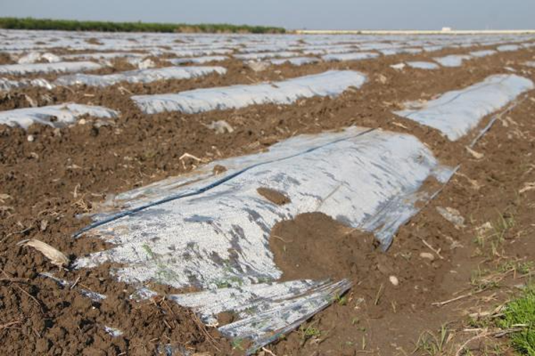 BM PLASTİK ANLAŞMASINA ÜRETİM KISITLAMASI KOYMALI