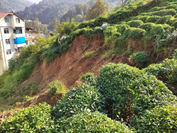 HEYELANLI ARAZİ REHABİLİTE EDİLMELİ