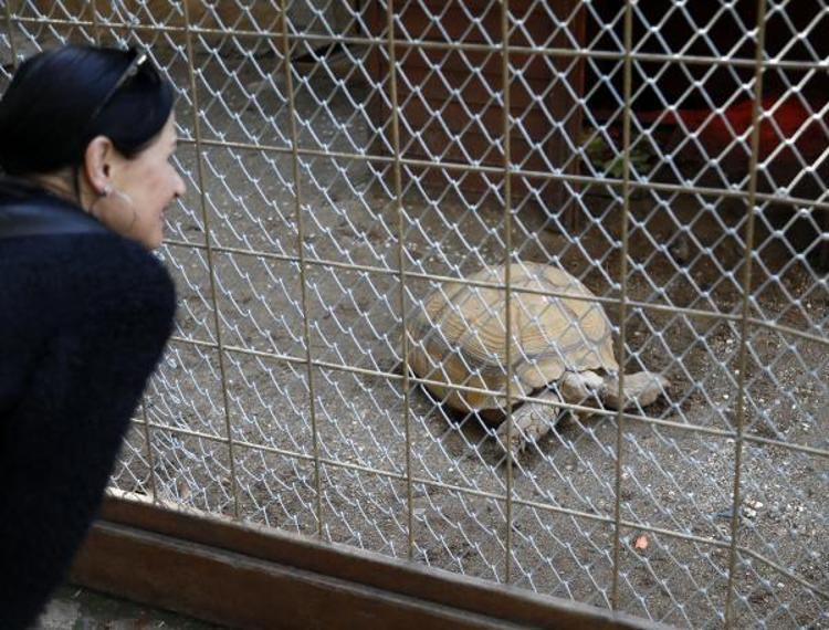 SON 53 YILIN EN SICAK KASIM AYI