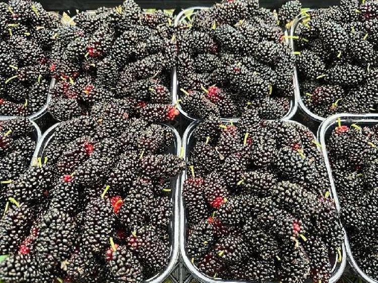 PAKETLER HALİNDE SATIYORUZ