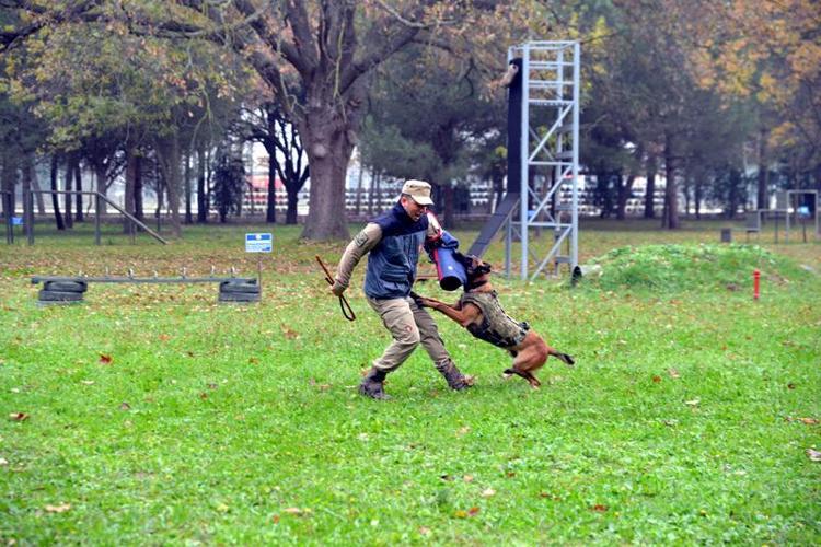 SESSİZ KAHRAMANLAR ENKAZDAN 78 KİŞİNİN KURTARILMASINI SAĞLADI