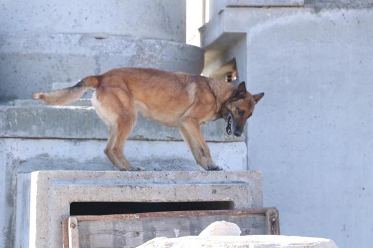 SILA, DEPREMDE 12 CAN KURTARDI