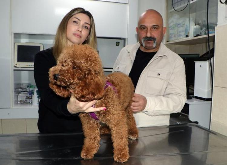 BUNLAR KALICI VEYA GEÇİCİ OLABİLİR