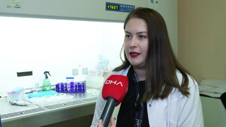 GEN TRANSFERİ DEDİĞİMİZ YÖNTEMİN VERİMLİLİĞİNİ ARAŞTIRMIŞ OLUYORUZ