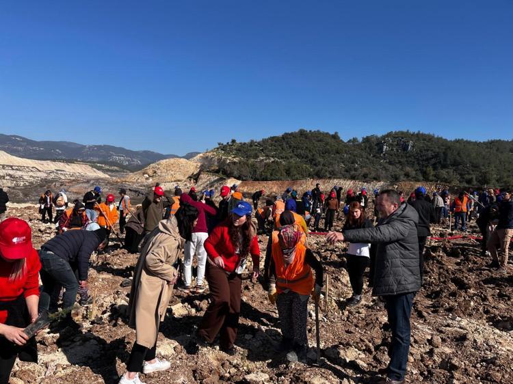 Muğla'da eski maden sahasına 2 bin fidan dikildi