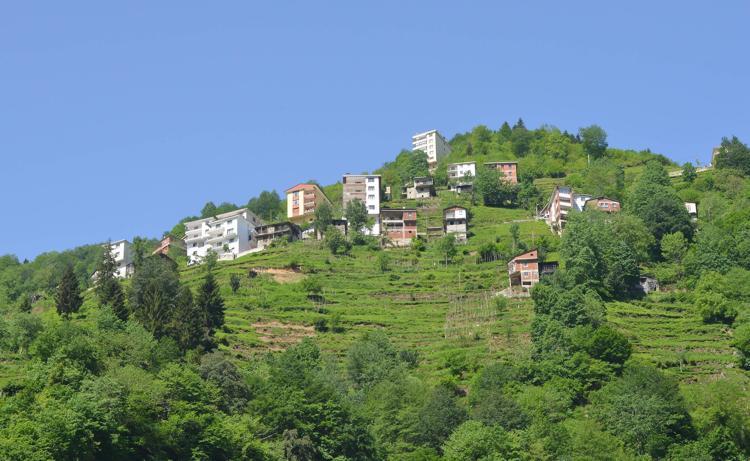 ‘GELENEKSEL YAPILAR TEŞVİK EDİLMELİ’