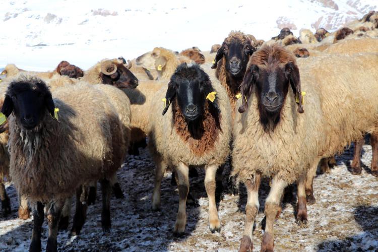 IRKIN BUGÜNE GELMESİNDE ÖNCÜLERDEN