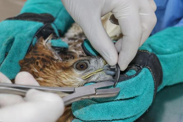 ‘ERKEN TEDAVİ HAYAT KURTARIR’