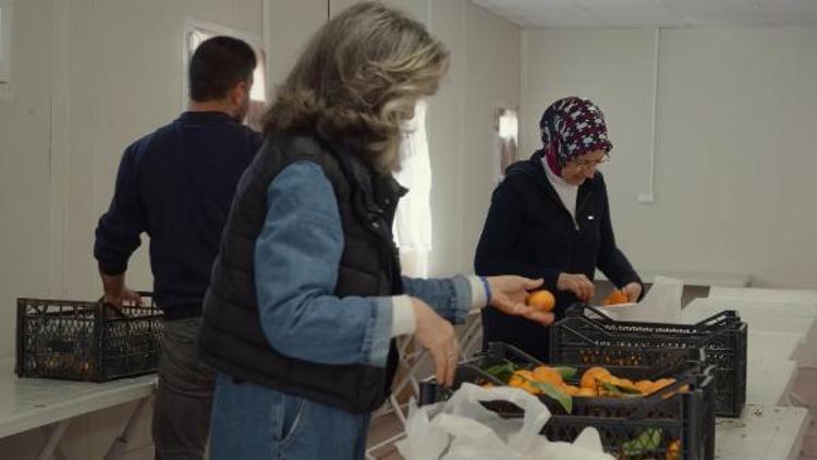 AKDENİZ MEYVE SİNEĞİ İLEDE MÜCADELE EDİYORUZ