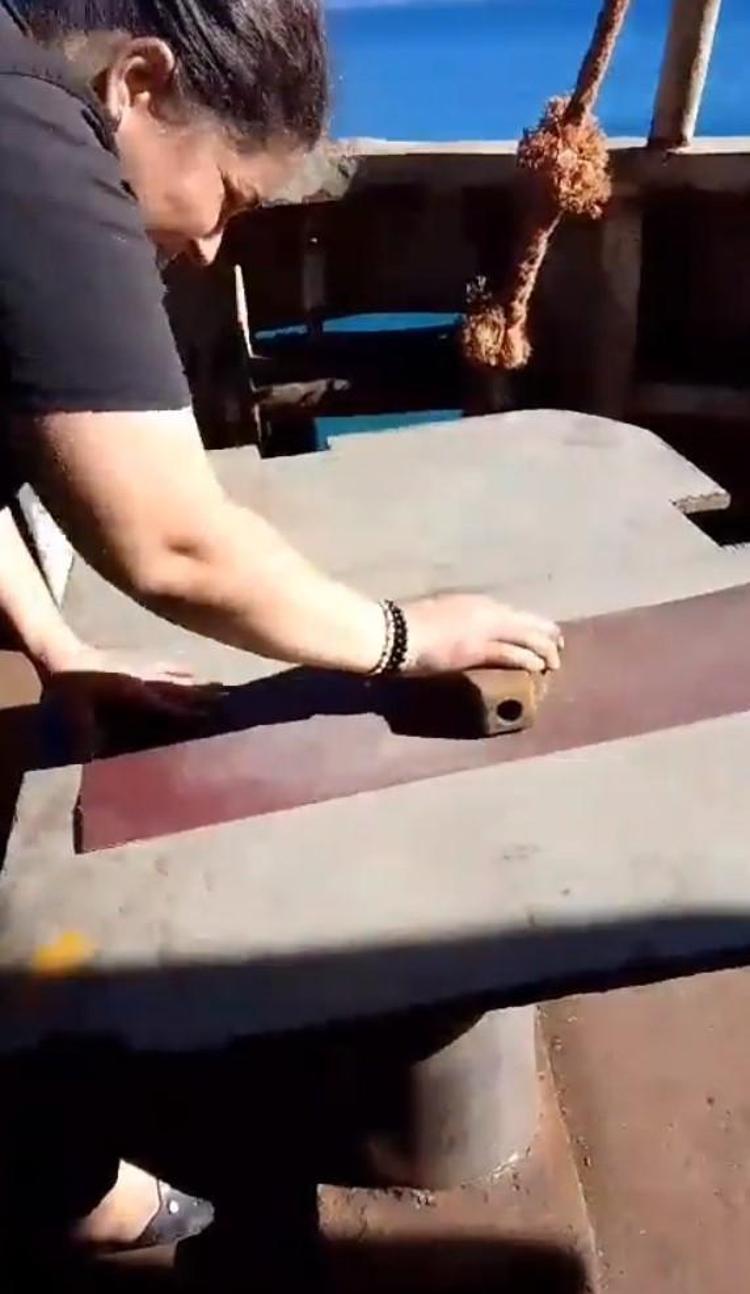 AŞÇI ZEYNEP’İN DÜMENDE OLDUĞU DEĞERLENDİRMESİ