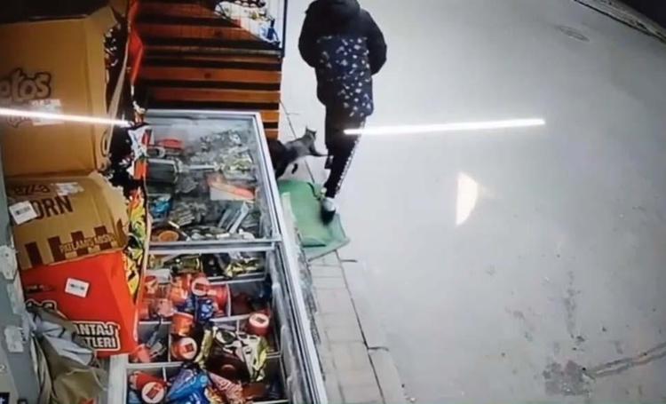 KEDİNİN ÇARPTIĞI ÇOCUK YERE DÜŞTÜ