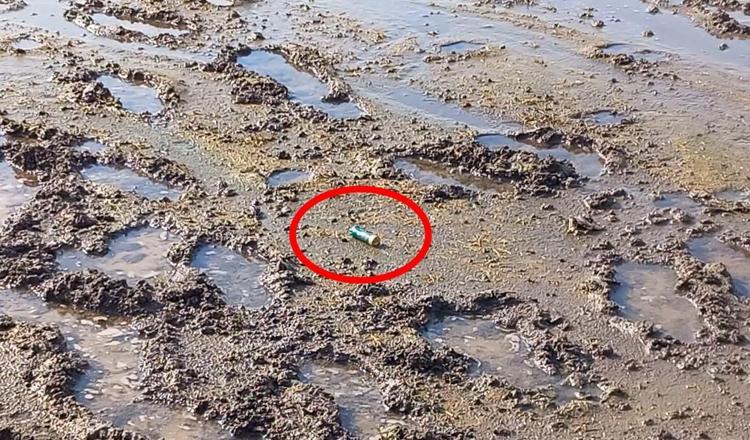 GÖZLERİNİ KARARTMIŞLAR