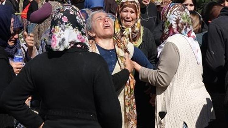 KÖPEK ÇAY KENARINDA BİR ŞEYLER KOKLADI