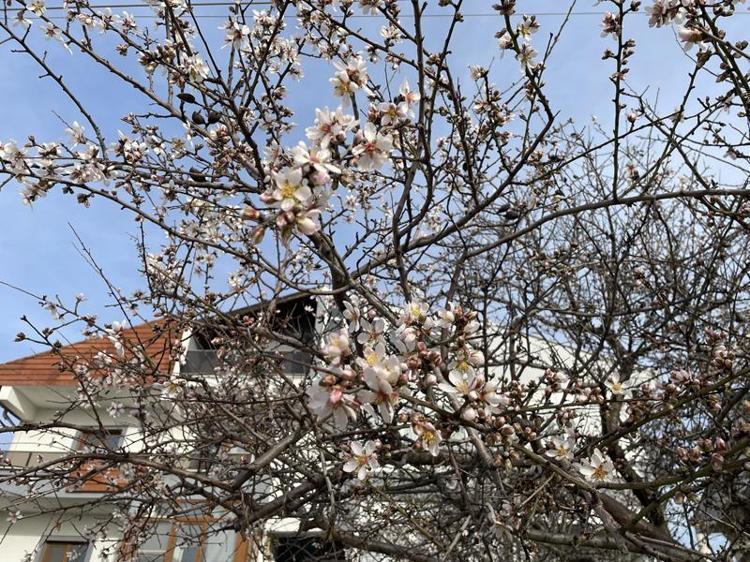 ‘ÇİFTÇİ, DEĞİŞEN İKLİM ŞARTLARINA GÖRE ÜRETİM PLANLARI YAPMALI’