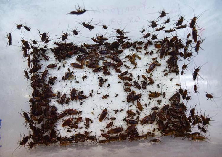 KADINLARIN KORKUSUZ ÇALIŞMASI