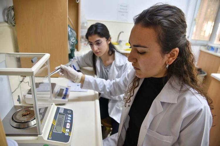 KİMYASALLARA DİRENCİ ARAŞTIRILIYOR