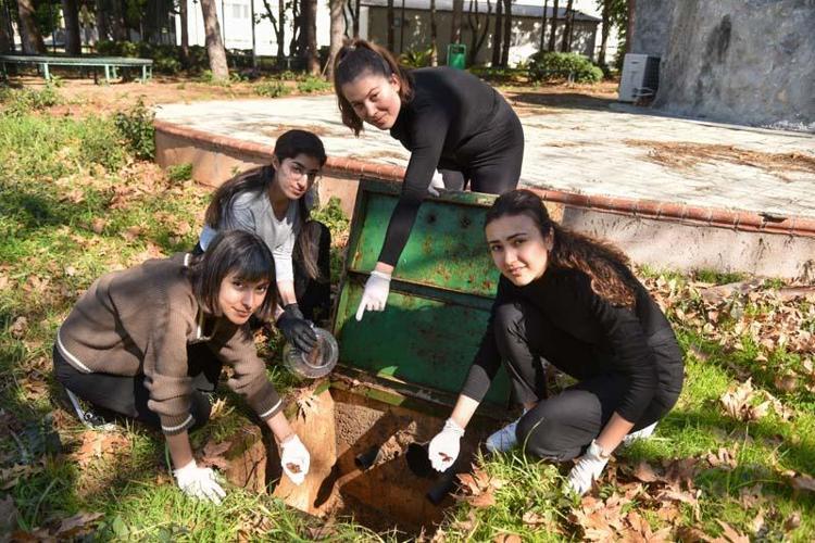 HAMAM BÖCEĞİNİ ELLERİYLE TOPLUYORLAR