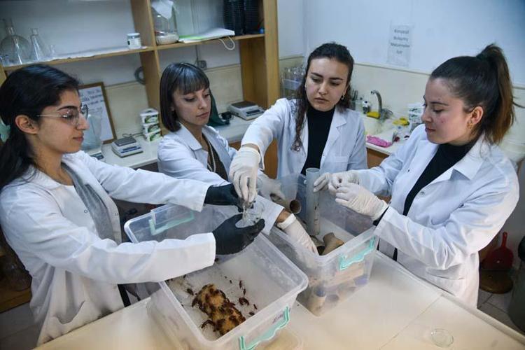 KORKUSU İLHAM VERDİ