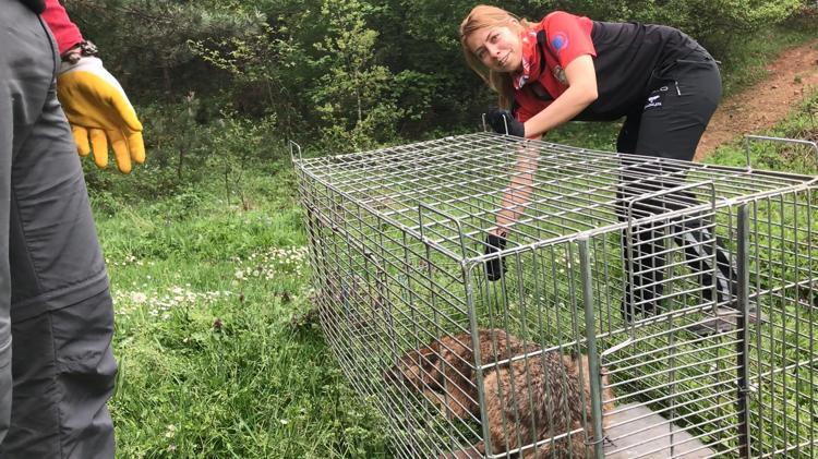 DEZAVANTAJIMIZ ÖNYARGI