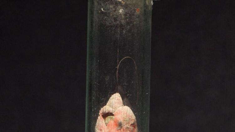 ÖZELLİKLE ABIHAYAT KONSEPTİ MÜZEMİZDEKİ EN ÖNEMLİ ZİYARETGAHLARDAN BİR TANESİ